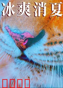 寒冰白血：生死极地